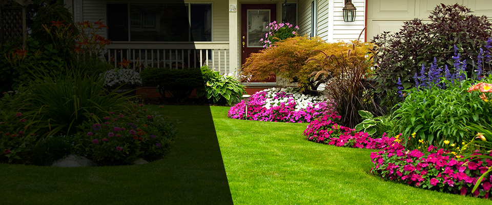 Westchester Landscapers