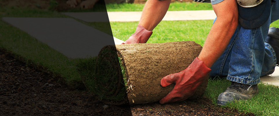 Westchester Landscapers